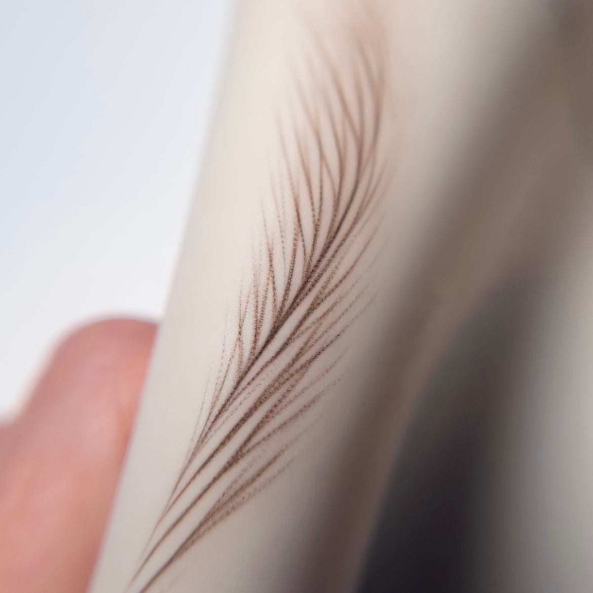 Nano Brows Template Guide